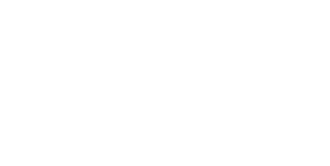 private jet cabin capability